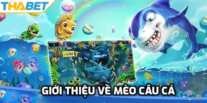 Giới thiệu về mèo câu cá 