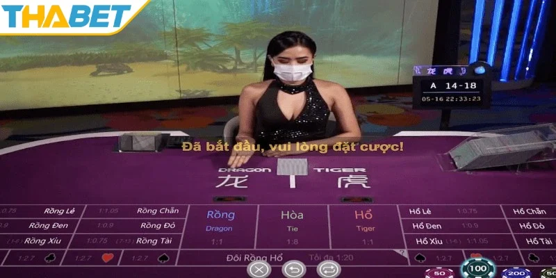 Tham khảo kinh nghiệm chiến thắng 